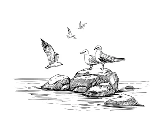 Foto auf Alu-Dibond Seascape sketch. Sea, rocks, seagulls, landscape. Hand drawn illustration converted to vector. Black outline on transparent background © aksol