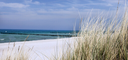 Strand mit D&uuml;ne