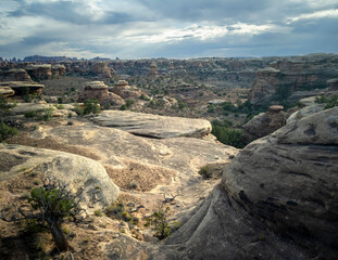 Incredible Pothole Point Trails in Canyonlands National Park in Utah