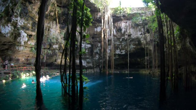 Cenote Oxman lateral dolly - Mexico 4K