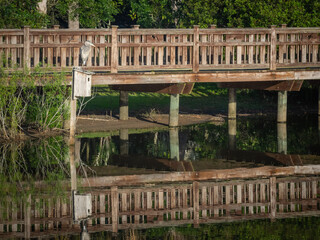 Wooden walking trail in a landscape