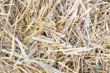 straw texture natural background favorite focus