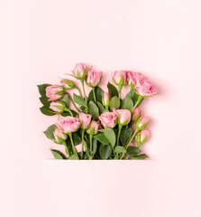 Spring concept with bouquet of pink roses coming out from pastel background. Top view composition.