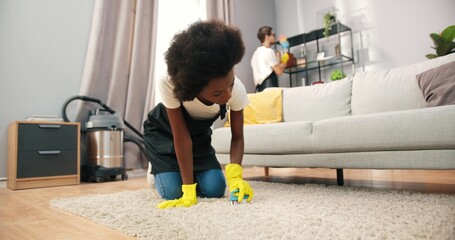 African American young beautiful busy female professional cleaner washing carpet in living room...