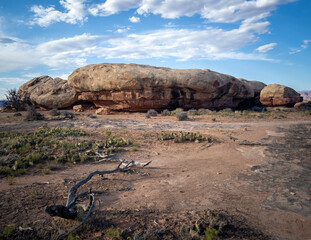 Incredible Pothole Point Trails in Canyonlands National Park in Utah