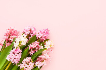 Pink and white hyacinth flowers bouquet on a pink background. Valentines Day, Mothers day, Birthday celebration concept.