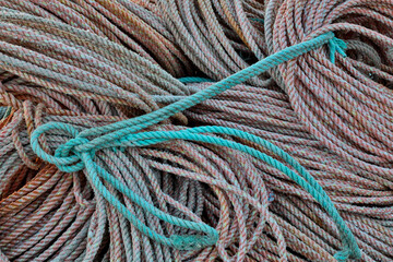 Rope in Crescent City marina, Northern California