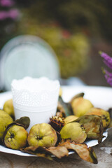 Birne im Herbst Vintage