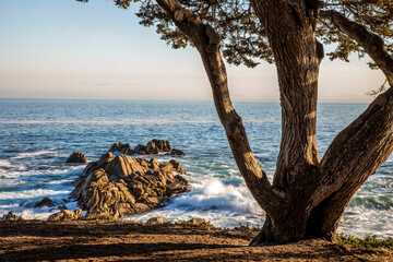 United States, California, Pacific Grove, Ocean View Drive, View of the Waves Crashing on to the Rocks Along the Coast