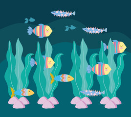 underwater fishes algae