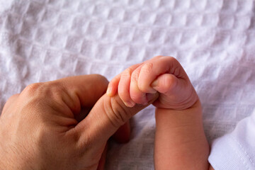beautiful hands of a newborn baby on a white sheet
