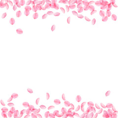 Fototapeta na wymiar Sakura petals falling down. Romantic pink silky medium flowers. Thick flying cherry petals. Borders