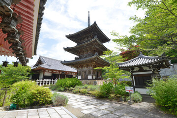 壺阪寺　三重塔と礼堂　奈良県高取町