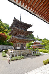 Obraz premium 壺阪寺 三重塔 奈良県高取町