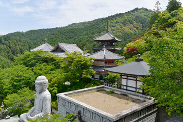 壺阪寺　伽藍　奈良県高取町