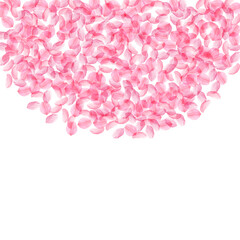Sakura petals falling down. Romantic pink silky medium flowers. Thick flying cherry petals. Top semi