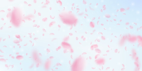 Fototapeta na wymiar Sakura petals falling down. Romantic pink flowers falling rain. Flying petals on blue sky wide backg
