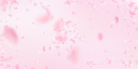 Fototapeta na wymiar Sakura petals falling down. Romantic pink flowers explosion. Flying petals on pink wide background.