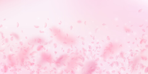 Sakura petals falling down. Romantic pink flowers falling rain. Flying petals on pink wide backgroun