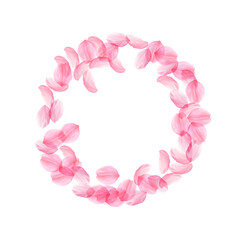 Sakura petals falling down. Romantic pink silky big flowers. Thick flying cherry petals. Round frame