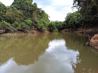 river in the jungle