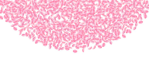 Fototapeta premium Sakura petals falling down. Romantic pink bright medium flowers. Thick flying cherry petals. Wide to