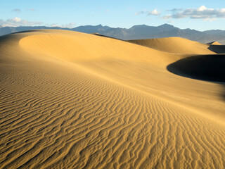 USA, California. Death Valley National Park, Mesquite Flats Sand Dunes.