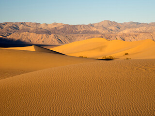 Fototapeta na wymiar USA, California. Death Valley National Park, Mesquite Flats Sand Dunes.