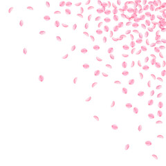 Sakura petals falling down. Romantic pink silky small flowers. Thick flying cherry petals. Scattered