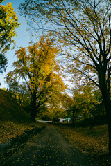 한국의 산지승원 봉정사 가을 Bongjeongsa Temple