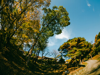 한국의 산지승원 봉정사 가을 Bongjeongsa Temple