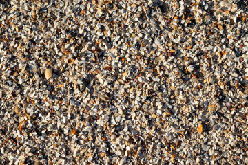Gravel stones mixed with shells, background.