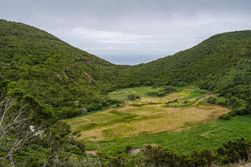 Fototapeta na wymiar Shrubs on Caldeira hill where volcanic eruption occurred at Monte Brasil, Terceira - Azores PORTUGAL
