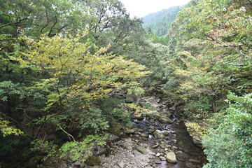 Fototapeta na wymiar 名貫川の峡谷風景