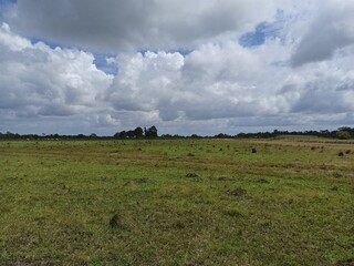 clouds over the field in summer