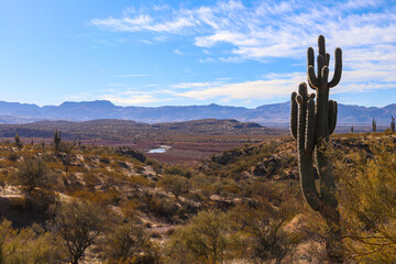 Desert Country Above the Lake