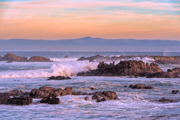 Bird flying over rocks with crashing waves in Pacific Grove, Monterey Bay, California.
