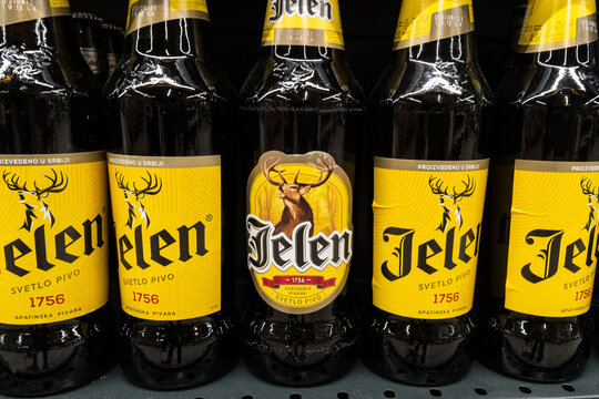 BELGRADE, SERBIA - FEBRUARY 26, 2021: bottles of Jelen Pivo Beer, some with their new design, some with their old logo.  Jelen pivo is light beer produced by Apatin Brewery, the most famous beer 