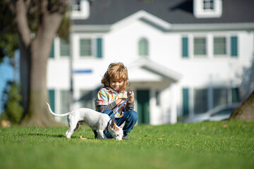 Happy little child playing with dog in garden. Pets and human friendship.