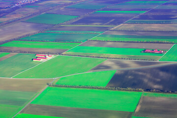Aerial shot of green fields . Agricultural fields seen from above