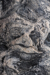Hornblende granite rocks, California.