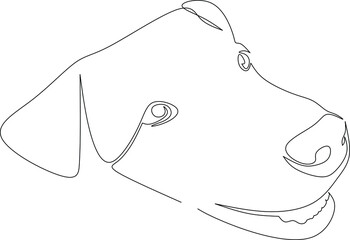 Illustration Continuous Line Face A Golden Type Dog