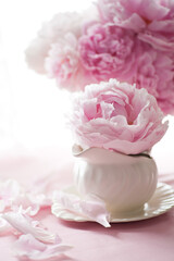 Double Peony Spring Floral Bouquet. Light pink double Peonies in white ceramic vase.