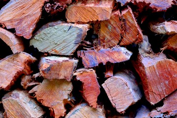 Wood-texture background in the mountains of Taiwan.