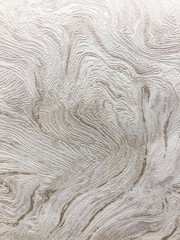 Beige Wallpaper or background Part of the wall