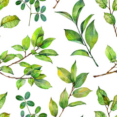 Watercolor seamless pattern with tree branches. Hand painted floral illustration isolated on white background.