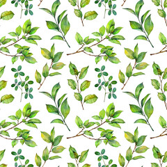 Watercolor seamless pattern with tree branches. Hand painted floral illustration isolated on white background.