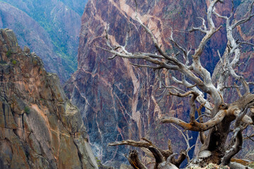 Colorado, Gunnison National Park. Scenic of Black Canyon.