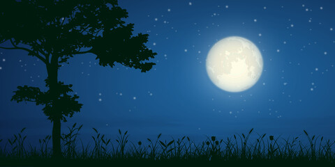 Obraz na płótnie Canvas starry night and full moon