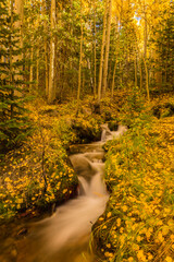 USA, Colorado, Rocky Mountain National Park. Waterfall in forest scenic.